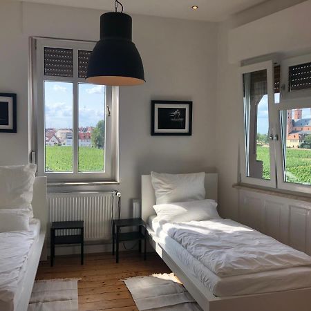 Luxe Apartment Am Rhein Worms Eksteriør billede