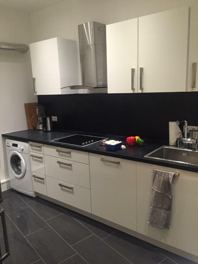 Luxe Apartment Am Rhein Worms Eksteriør billede