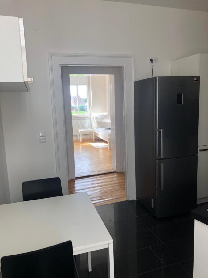 Luxe Apartment Am Rhein Worms Eksteriør billede